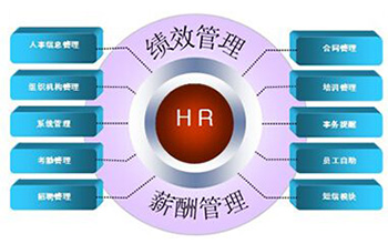 想當HR？